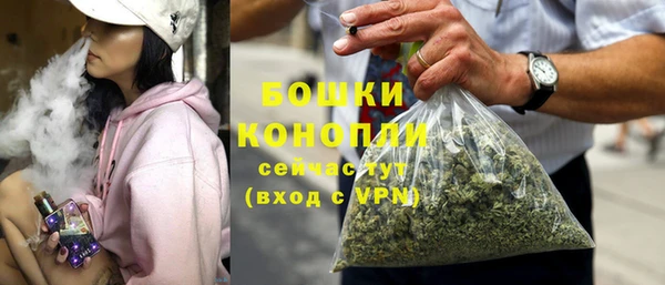 прущие грибы Белоозёрский