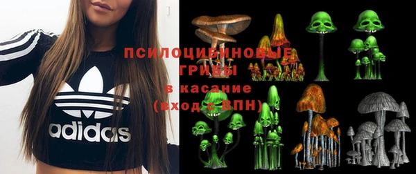 герыч Белокуриха